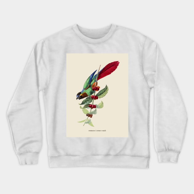 Colorful Parrot Antique Naturalist Illustration Crewneck Sweatshirt by Antiquated Art